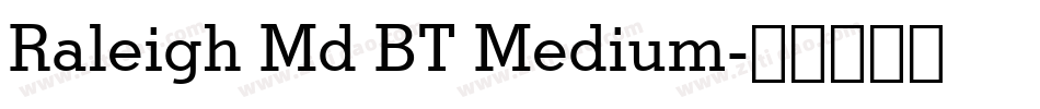 Raleigh Md BT Medium字体转换